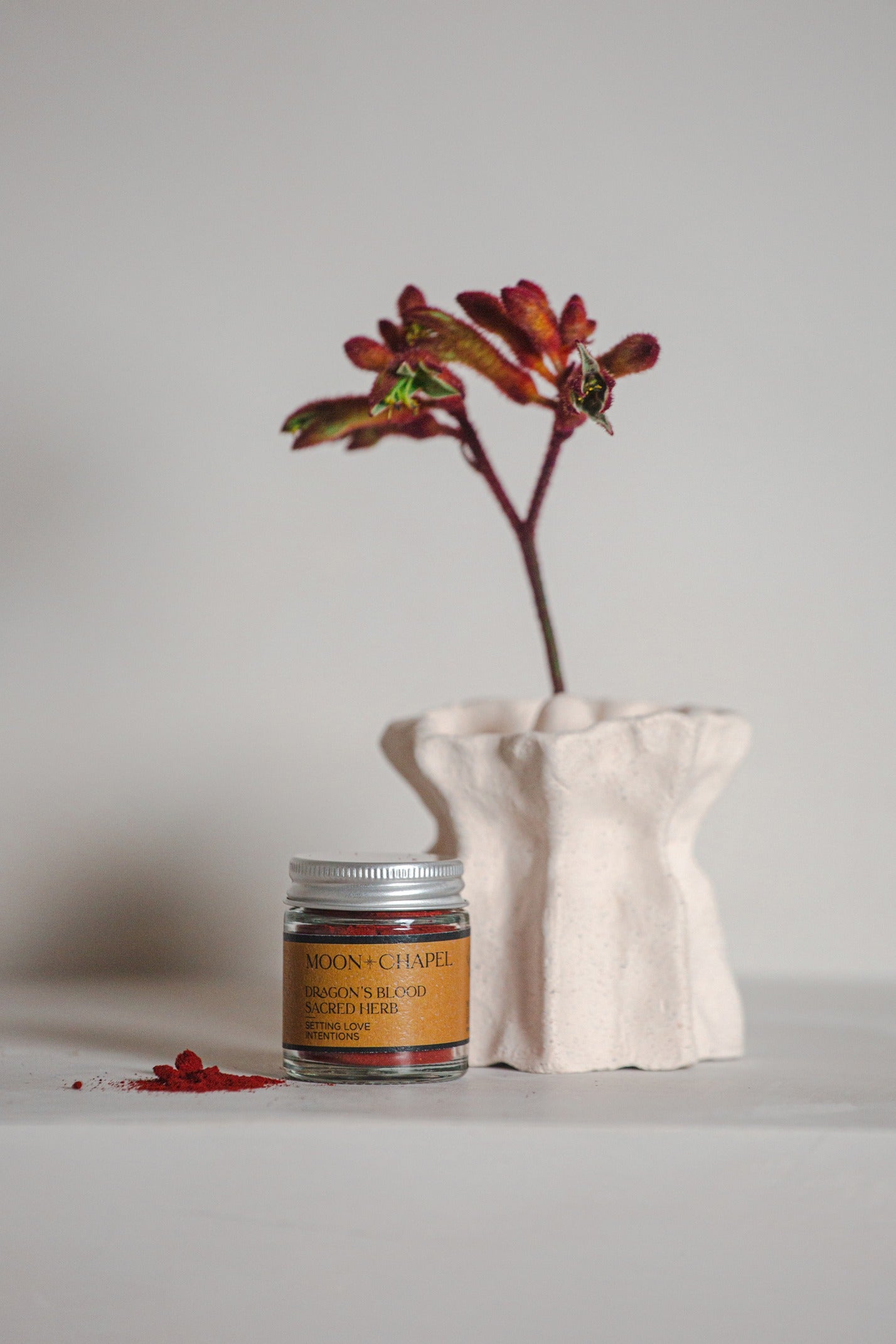 Dragon's Blood Sacred Herb