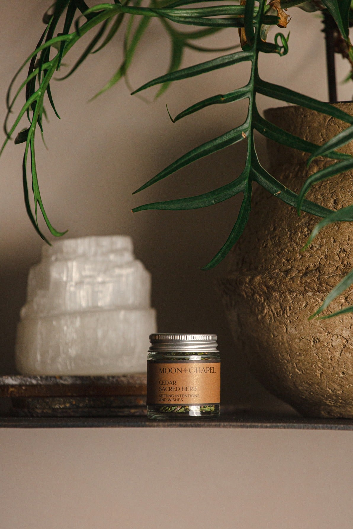 Cedar Sacred Herb