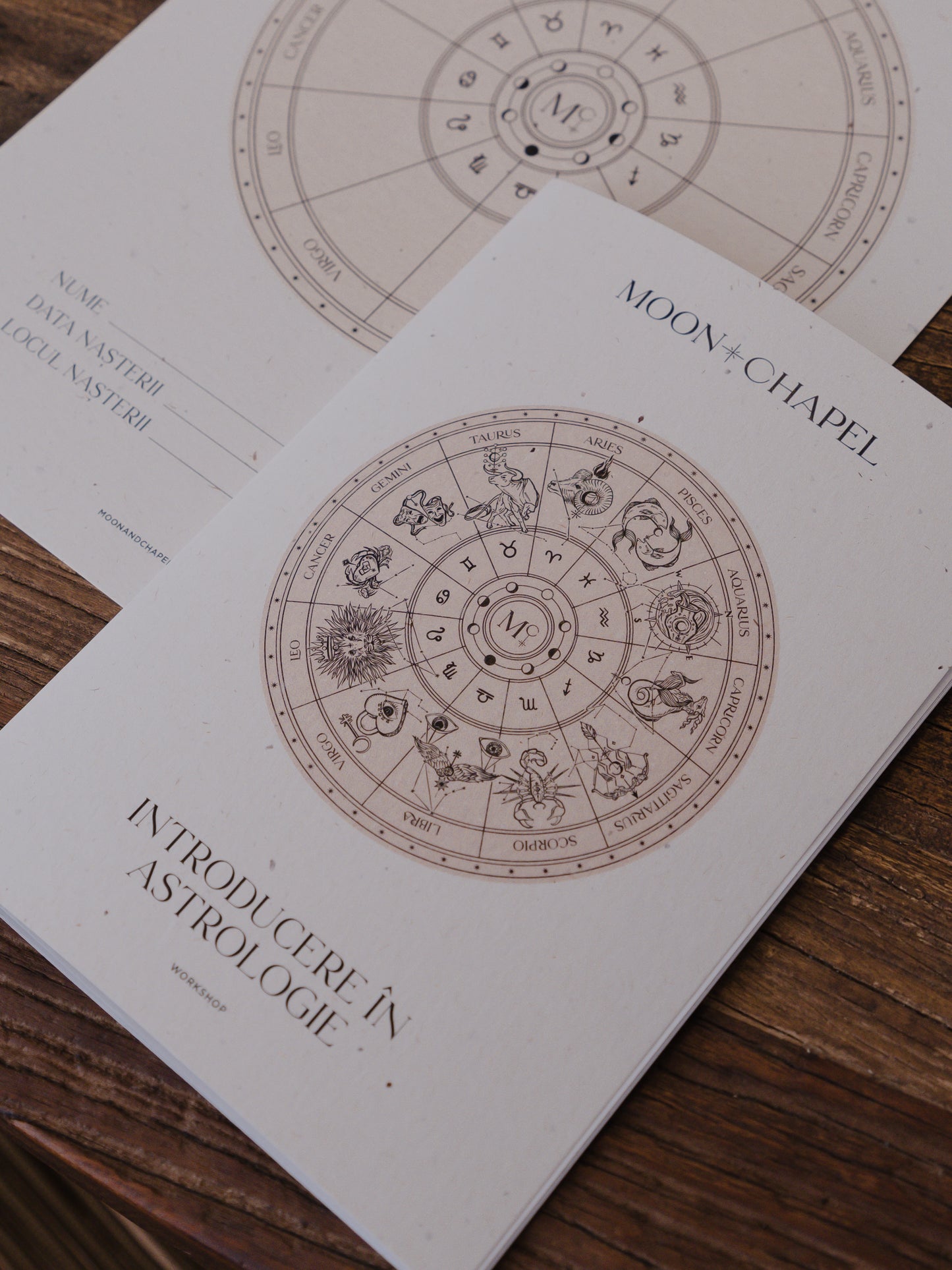 Workshop: Astrology and Natal Chart Reading