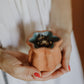 Sacred Lotus Japanese Remedies