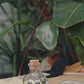 De Amor - Cinnamon Incense Sticks