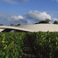 Wineries of the World: Architecture and Viniculture