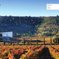 Wineries of the World: Architecture and Viniculture