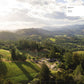 Wineries of the World: Architecture and Viniculture