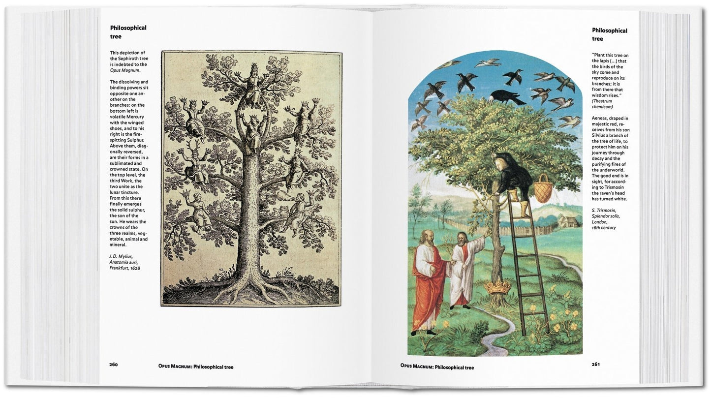 Alchemy & Mysticism